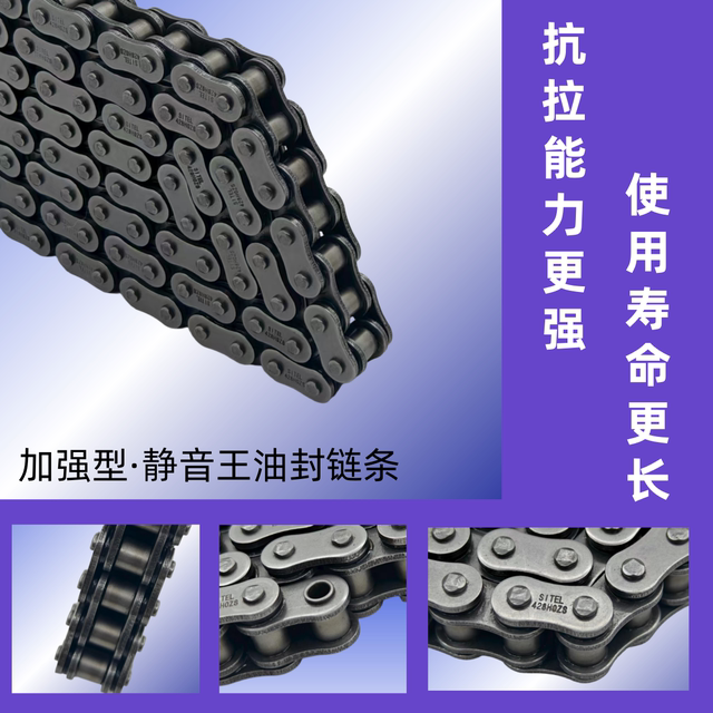 EFI Weiling S150 Silent Chain Disc Oil Seal Chain