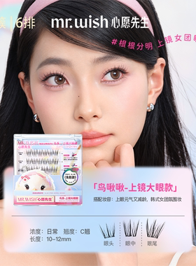 屈臣氏MR.WISH心愿先生免胶假睫毛动物系列-鸟系上镜大眼款超细梗