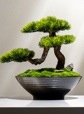 新中式禅意永生苔藓绿植盆景苏式家居装饰花客厅花架玄关花艺