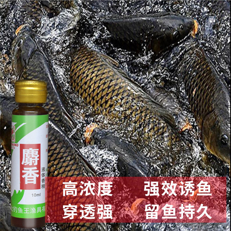 钓鱼王麝香液水王钓鱼小药野钓通杀秋冬季玉米香精泡米打底窝料,淘宝优惠券,粉丝福利购,淘宝优惠卷