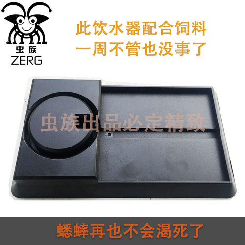 蟋蟀饮水器 喂水器 防溺针头油葫芦蝎子杜比亚 昆虫喝水盆 盂水壶 - 图2
