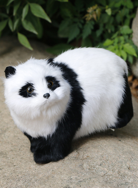 野生动物认知可爱风萌宠桌面摆件