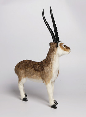 仿真羚羊静态模型摆件真皮毛