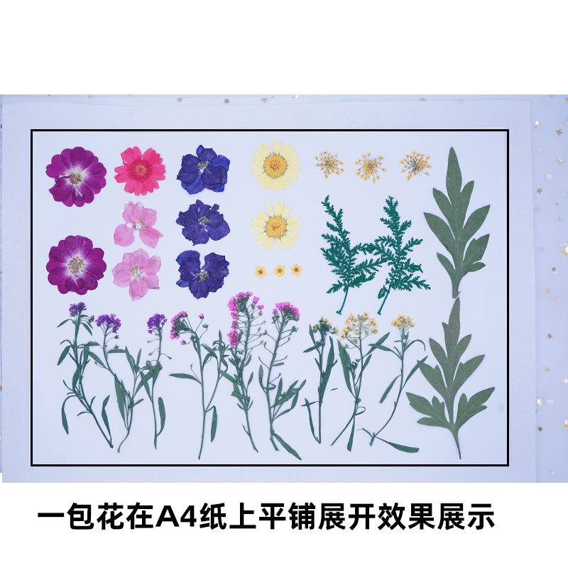 天然干花diy材料创意压花书签真树叶植物标本押花滴胶手机壳化妆 - 图1