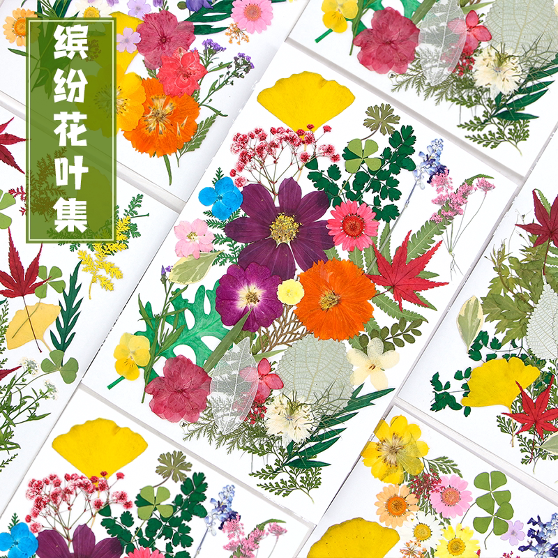 干花diy材料真花滴胶手机壳手工团扇贺卡书签压花玫瑰树叶大花包_虎窝淘