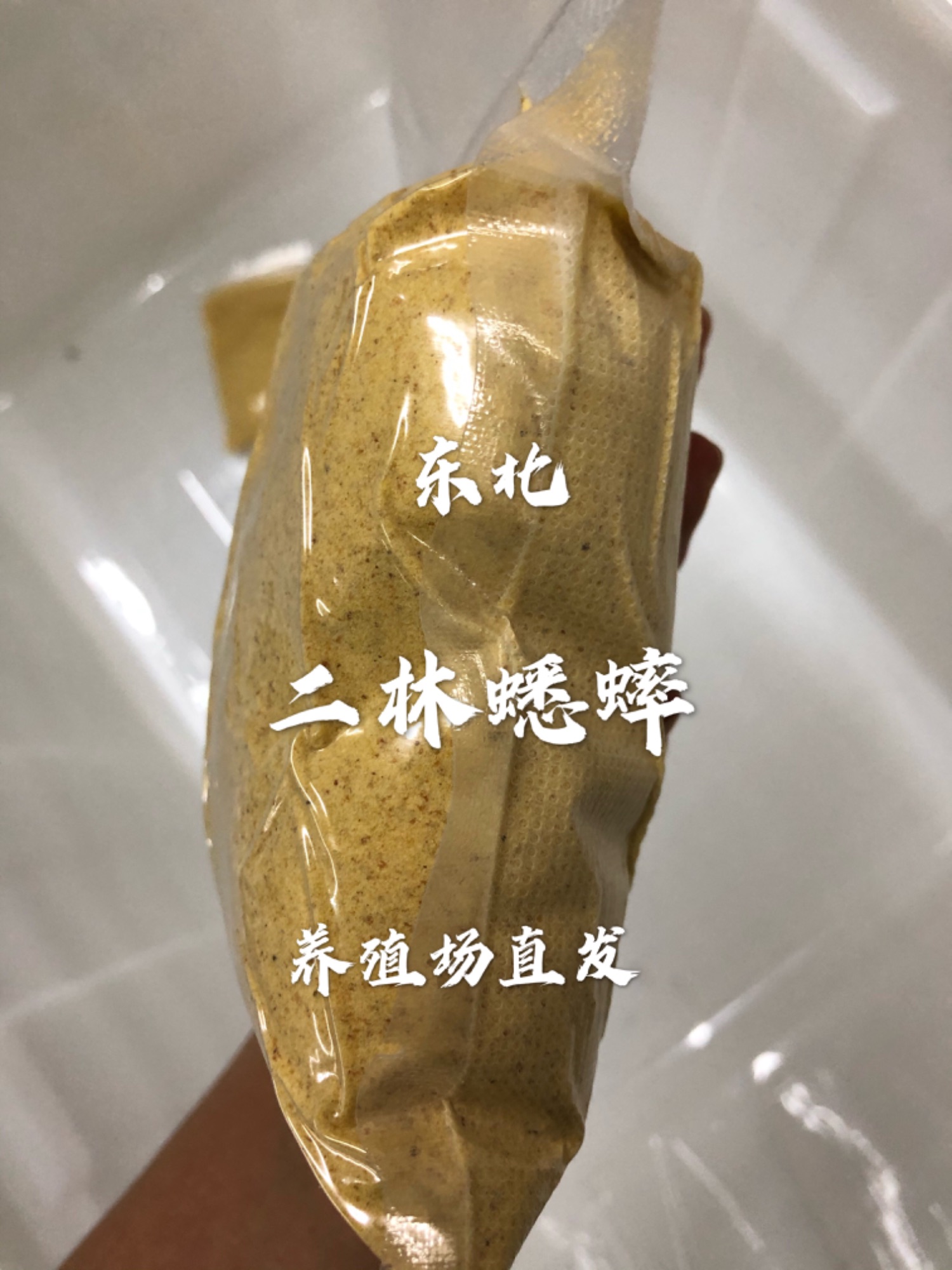 蛐蛐 白蟋蟀 油葫芦 专业饲料 宠物活体饲料 高蛋白微量元素饲料 - 图1