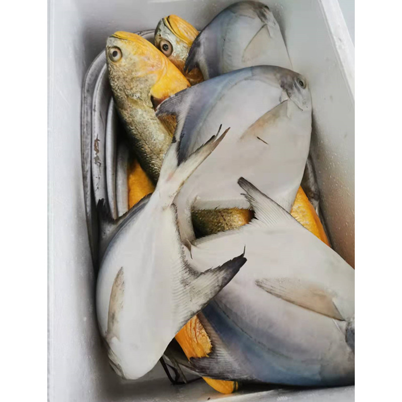 北京闪送海鲜大礼包现货海鲜礼盒冰鲜冷冻套餐春节年货送礼品,淘宝优惠券,粉丝福利购,淘宝优惠卷