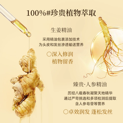 Масло с камелией для кожи головы с женьшенем, кондиционер, эффект гладких волос, роскошный уход, уход за волосами