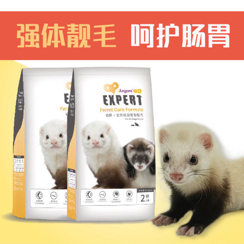 *安哥鲁幼年貂粮*保正品安格鲁宠物雪貂主食饲料马雪儿小龙貂通用 - 图1