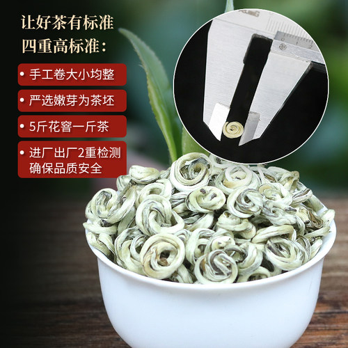 横县茉莉花茶叶特级2026新茶香螺六窨浓香耐泡玉螺王散装250g罐装 - 图1