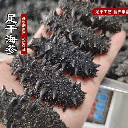 俄罗斯萨哈林足干海参20-30头500克礼盒装送礼首选 - 图1
