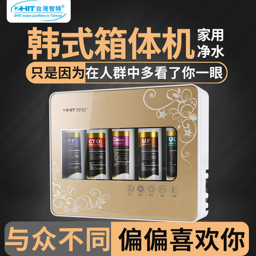 台湾智特净水器水龙头过滤器自来水家用直饮高端厨房厢式机 - 图1