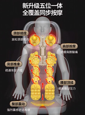 110V车家两用按摩靠垫全身按摩器