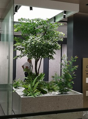 海虹景观仿真榕树景观造景盆栽