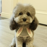 Мультяшный нагрудник с животными, плетеный шарф, слюнявчик