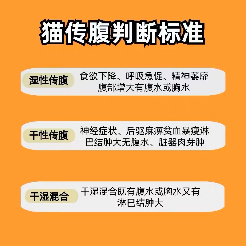 猫传腹干性湿性腹水大肚子腹膜炎fipv抑制剂口服营养液油水剂 - 图3