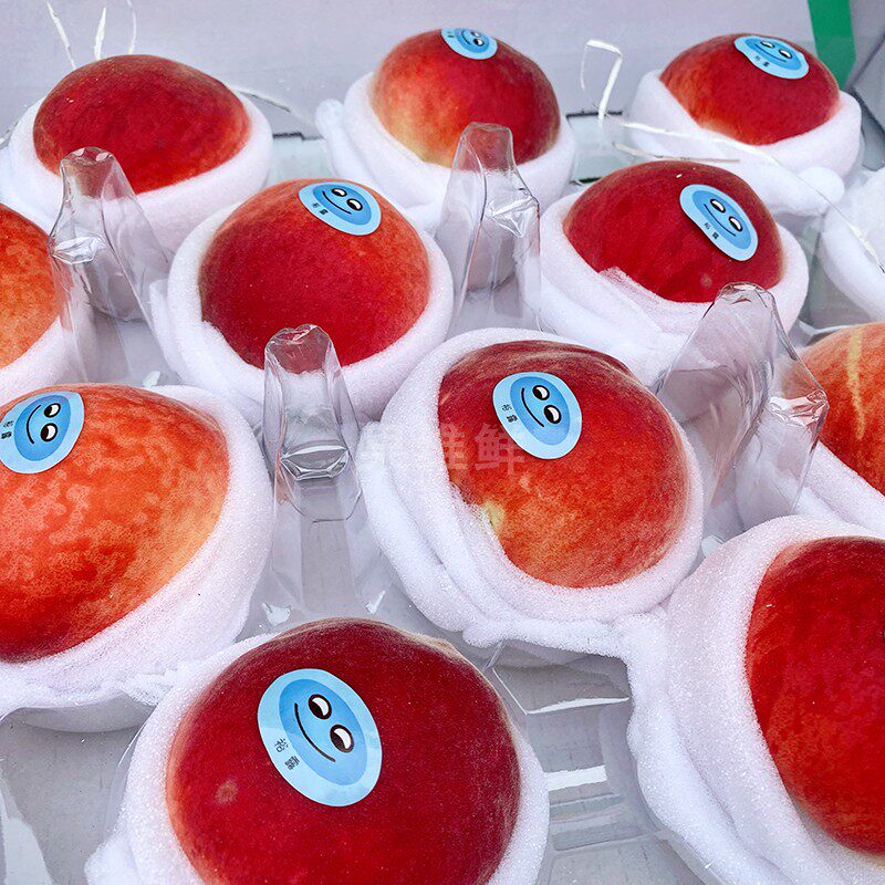 河北乐亭红梅水蜜桃8斤/箱 当季新鲜时令水果 桃子蜜桃 包邮