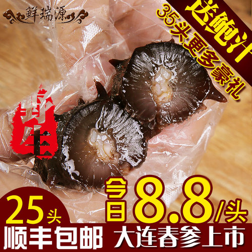 大连即食海参 单个装 辽刺参高压真空水发海生老年孕妇特产送礼品 - 图1