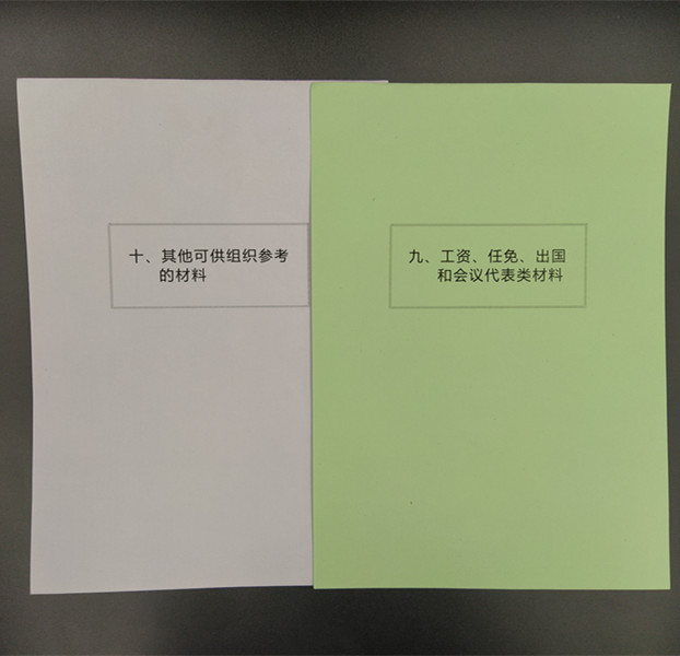 50套装全彩A4干部人事档案十大类分类纸隔页纸索引纸80克分页纸 - 图2