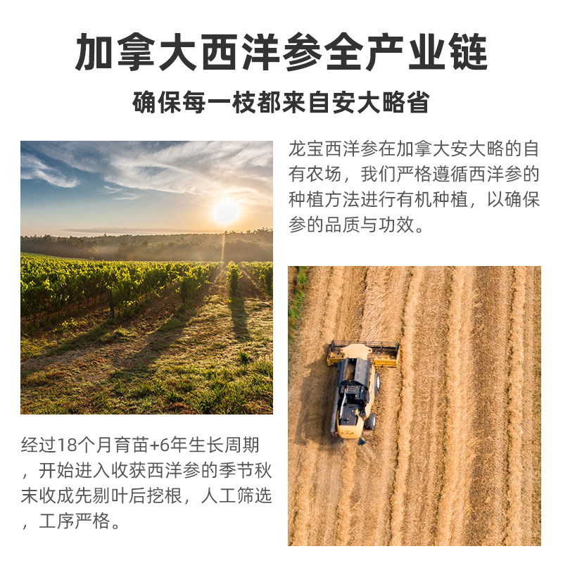 西洋参片正品加拿大非特级花旗参含切片泡茶水官方旗舰店礼盒