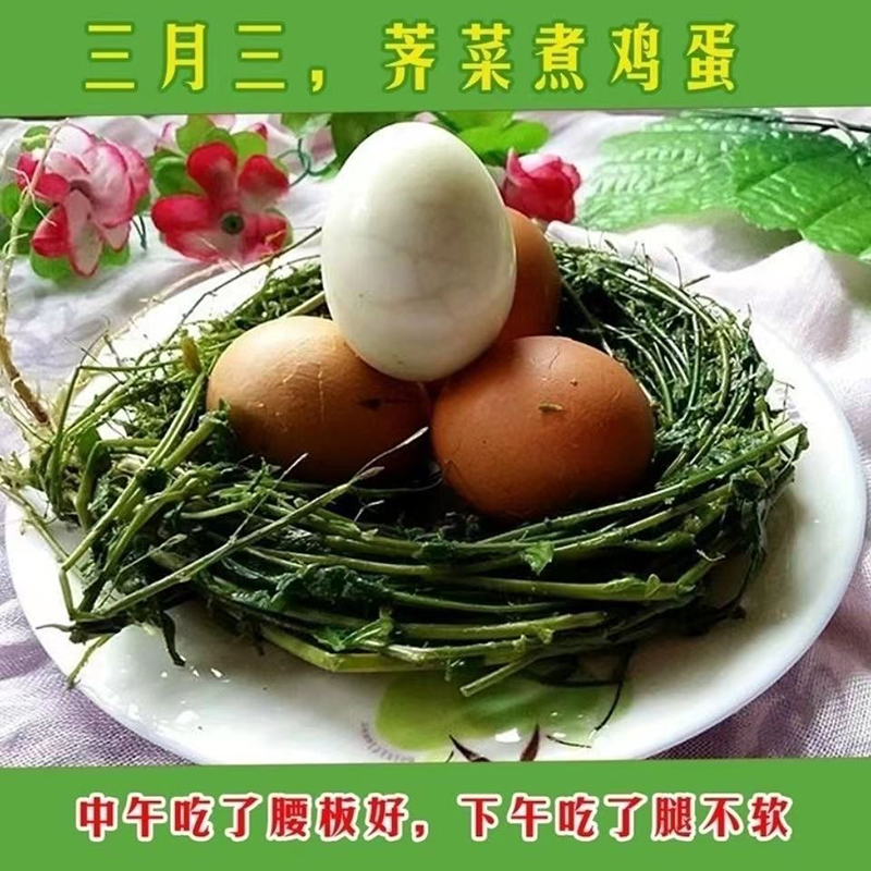 新鲜野生老荠菜整株带根有籽精选地菜无杂质野菜中草药洗菜煮水煮 - 图1