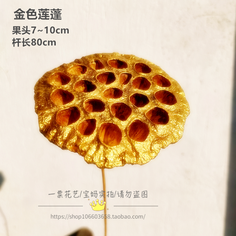 金葫芦金莲蓬真花装饰摆件荷花莲禅意中式花瓶插花蓬家居客厅摆设,淘宝优惠券,粉丝福利购,淘宝优惠卷