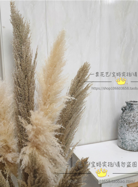 芦竹干花民宿装饰拍摄橱窗摆设