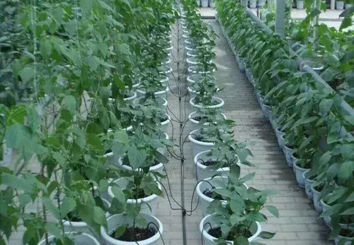 浇花滴灌滴箭 滴头浇灌 盆栽果树灌溉庭院菜园花园花圃大棚浇水 - 图1
