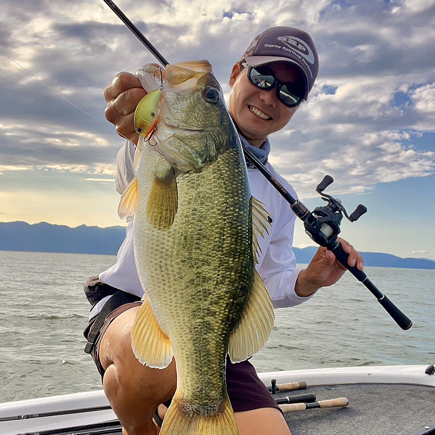 日本OSP深潜路亚crank鲈鱼假饵远投BLITZ MAX PLUS DR静音32g现货 - 图3