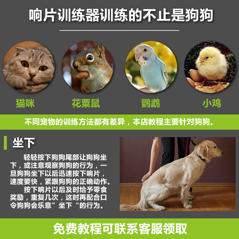 Pet Dog Horse Dog Training Tutorial Dog Training Equipment Supplies