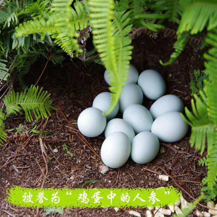 长顺绿壳鸡蛋农家自养土鸡蛋草鸡蛋新鲜现捡绿壳蛋礼盒装C,淘宝优惠券,粉丝福利购,淘宝优惠卷