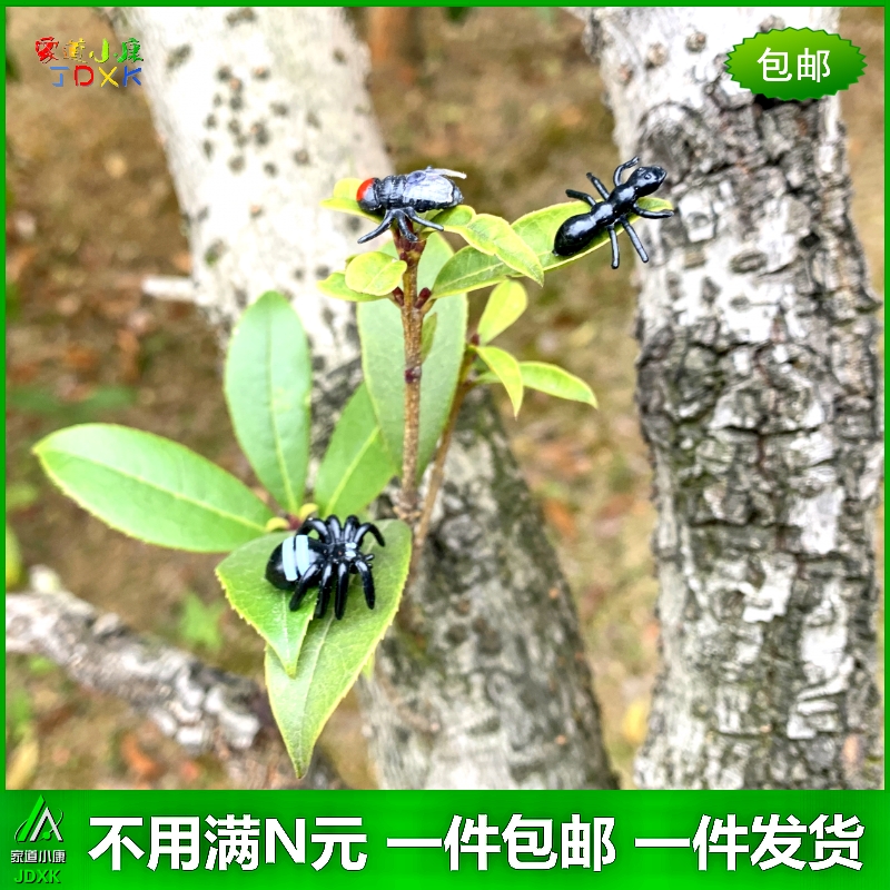 仿真迷你小蛇苍蝇蜘蛛蚂蚁套装幼儿园儿童玩具蛇动物昆虫动物模型 - 图0