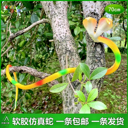 儿童玩具蛇软胶蛇双头蛇仿真蛇两头蛇假蛇眼镜蛇吓人橡胶动物模型 - 图0