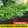 Can be mounted on wheels for plastic classical pastoral home gardening