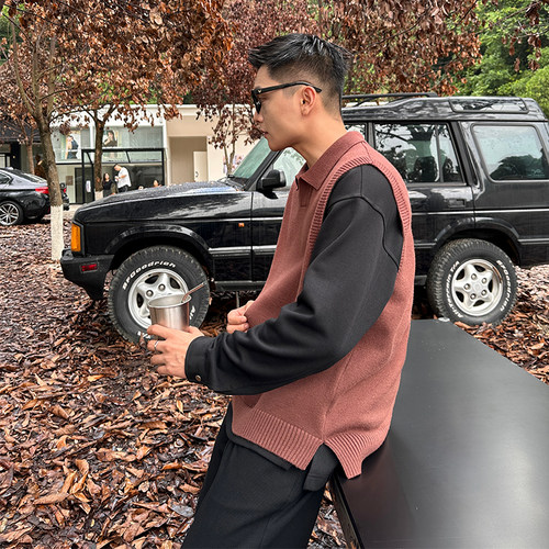 二十二号穿搭「Polo方V领口」秋冬男毛衣背心无袖马甲翻领针织衫 - 图0