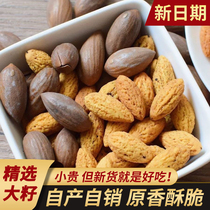 Fragrant torreya seeds Zhejiang Shaoxing local specie Outdoor Outlet children nuts Big jar Small snacks Net Red Burst Dry Fruits