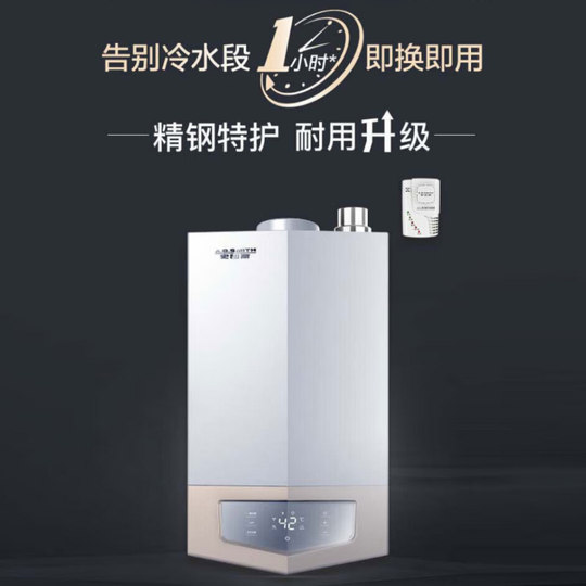 Das gleiche Modell des Smith Zero Kaltwasser-Gas-Warmwasserbereiters