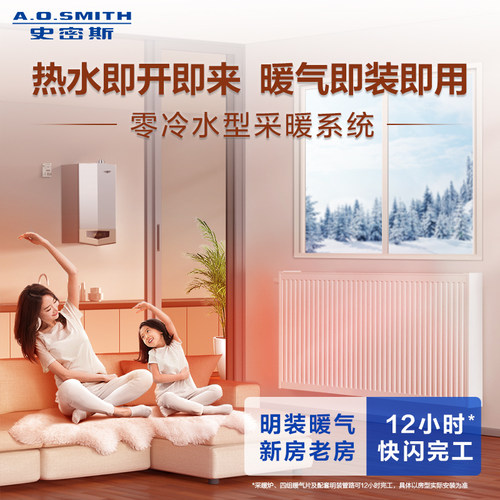 【门店在售】AO史密斯燃气壁挂炉天然气家用零冷水两用锅炉33S9 - 图1