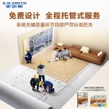 [Магазин в продаже] AO Smith Gas Wall -Hung Cower Natural Gas Home Zero -Cold Water Dual -Resear Cower 33S9