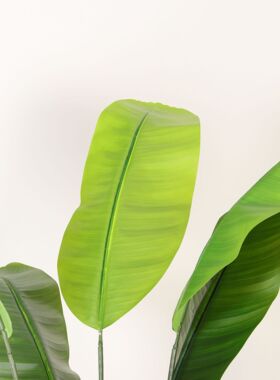仿真植物旅人蕉假绿植盆栽大型家居室内客厅落地装饰摆件橱窗