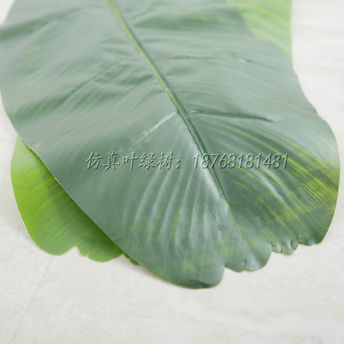 仿真芭蕉叶绿植材料配件植物墙装饰假叶子天堂鸟水果店装饰篮叶子 - 图3