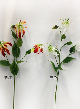 绿色带果橄榄果芭蕉叶火焰百合单支花材北欧样板房客厅电视柜花艺