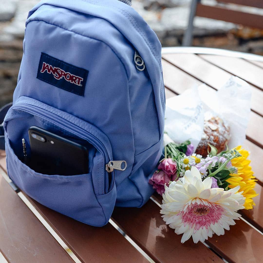 jansport杰斯伯潮人女百搭20双肩包 jansport双肩背包