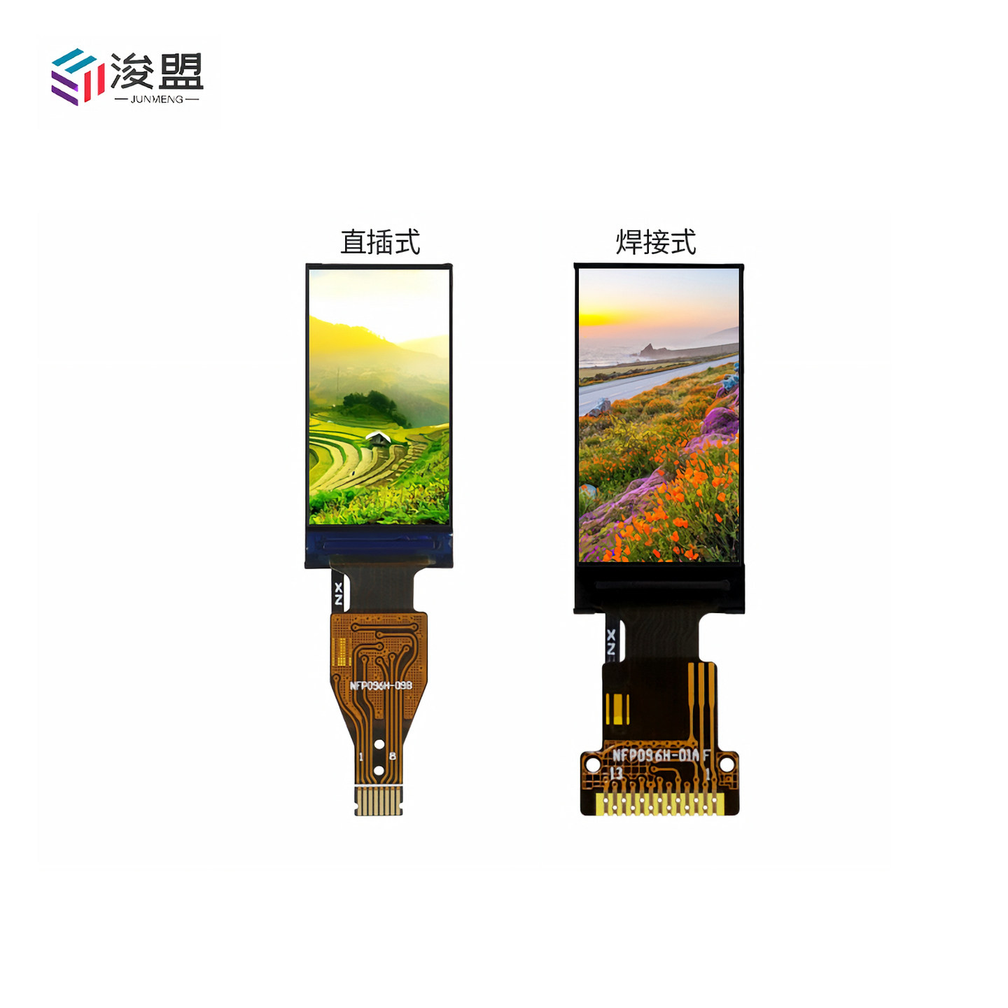 图2