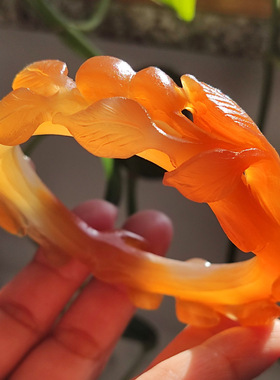 玛瑙印象 福禄 天然巴西老花料玛瑙雕刻手镯 雕花手镯 葫芦手镯57