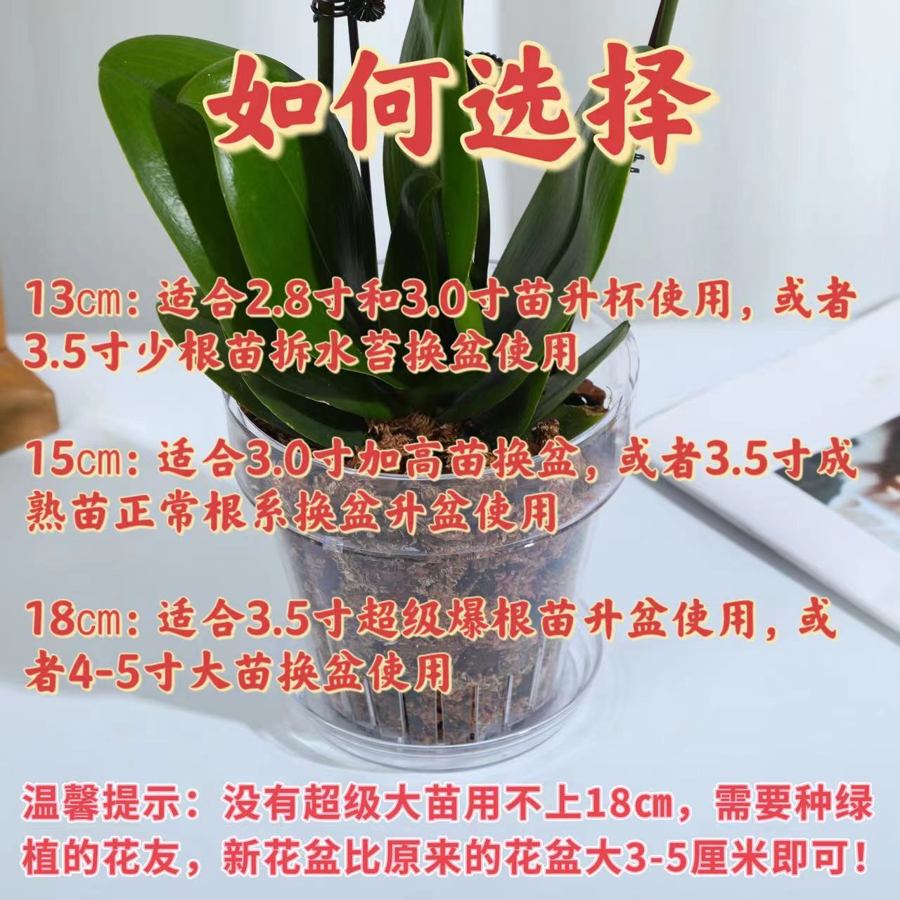 高透明圆形加厚透气塑料桌面壁挂花盆适合蝴蝶兰文心兰阳台客厅 - 图0