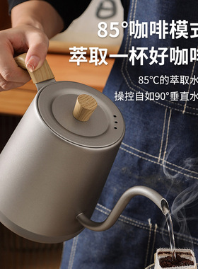 恒温电热水壶0.8L鹅颈长嘴细口壶