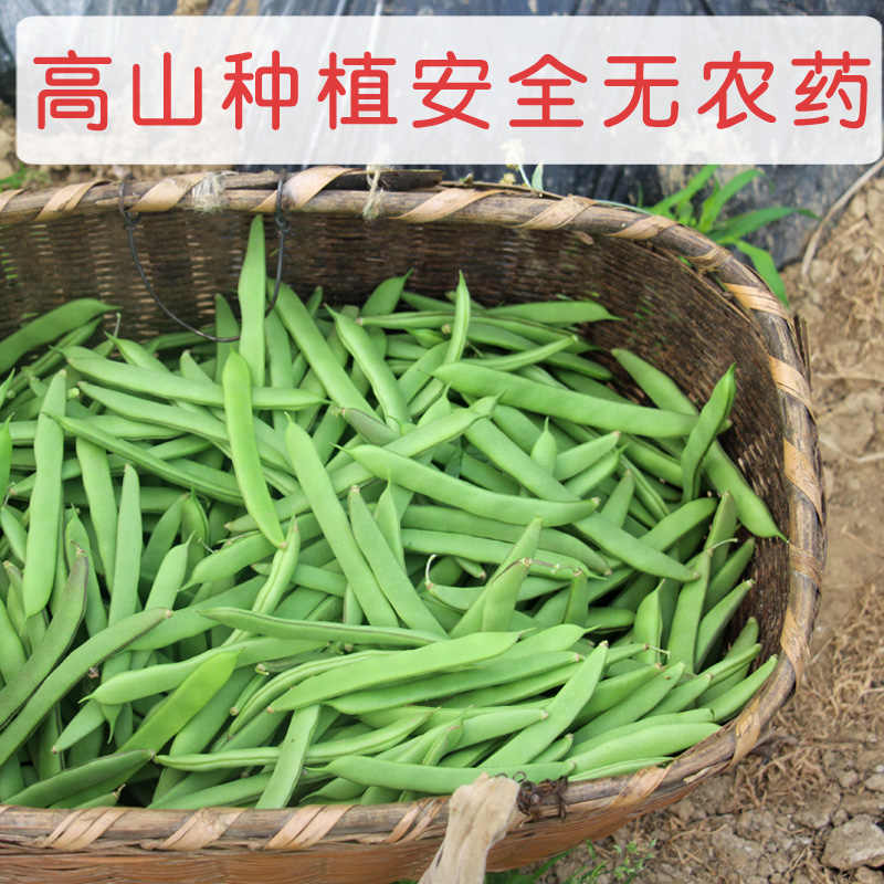 四季豆蔬菜 新人首单立减十元 21年9月 淘宝海外