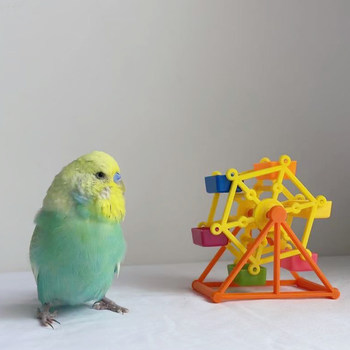 Parrot ພັດທະນາເຄື່ອງຫຼິ້ນທາງປັນຍາ, ໜັງເສືອດຳ phoenix ແລະ peony ການສຶກສາຂອງນົກ, ການຝຶກອົບຮົມດ້ວຍມື, chewing ແລະກ່ອງອາຫານຕ້ານການຊຶມເສົ້າ.