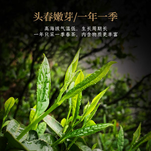 高家山野生黑茶湖南安化黑茶正品正宗金花茯砖茶2015年老茶壹品茯